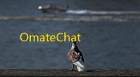 OmateChat